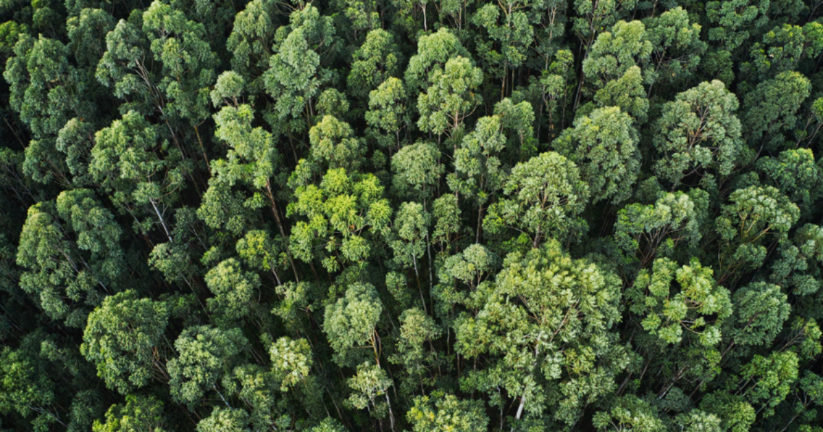 Milieu – ISO 14001 | Wise